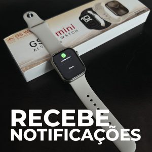 Gs10 mini